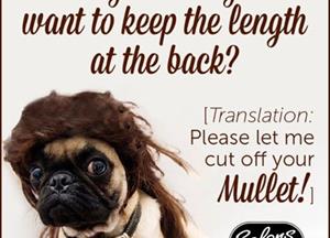 Do you need your mullet off 😄😄😄😄✂️✂️✂️